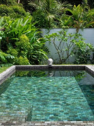 Kleiner rechteckiger Pool umgeben von üppigem Grün