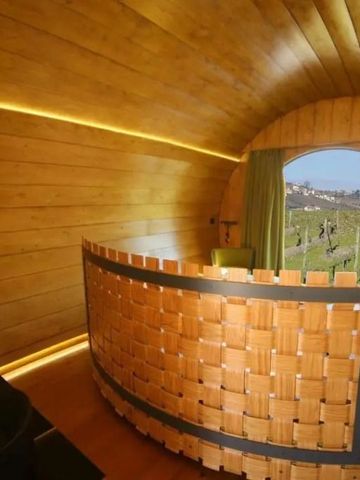 Einzigartiges Zimmer mit runden Holzdesign und Blick auf Weinberge