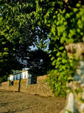 Weg durch grüne Landschaft mit Bäumen und einem Gebäude im Hintergrund