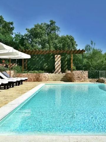 Infinity-Pool im Freien mit Liegestühlen und grüner Umgebung