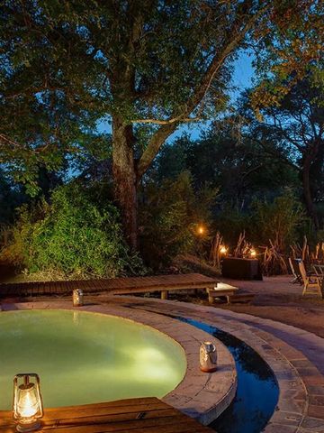 Romantischer beleuchteter Poolbereich inmitten der Natur bei Nacht