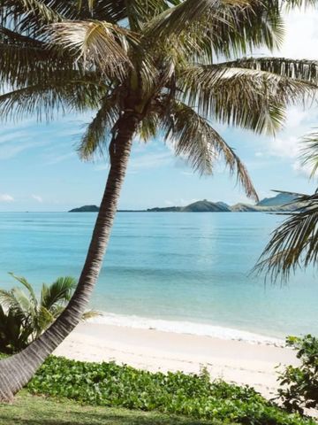 Strand mit Palmen und kristallklarem Wasser unter blauem Himmel