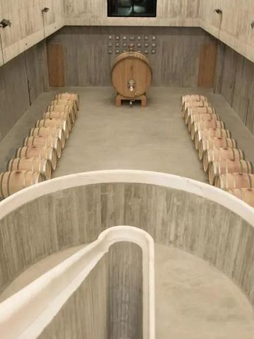 Modern gestalteter Weinkeller mit Holzfässern und Betonwänden