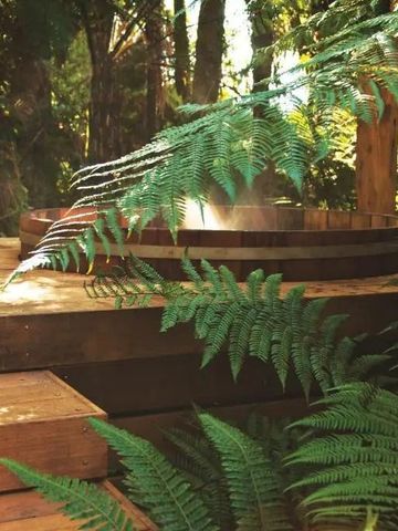 Holzterrasse mit heißem Whirlpool umgeben von üppiger Vegetation