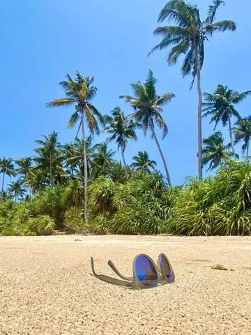 Sonnenbrille auf Sandstrand mit Palmen und blauem Himmel