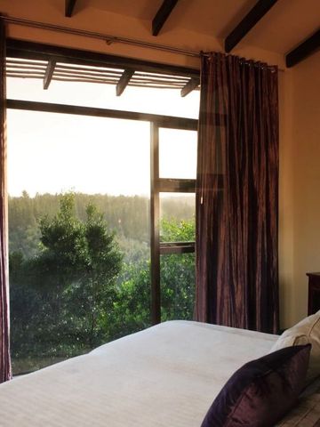 Elegantes Zimmer mit großen Fenstern im Tsala Treetop Lodge und Blick auf die Landschaft