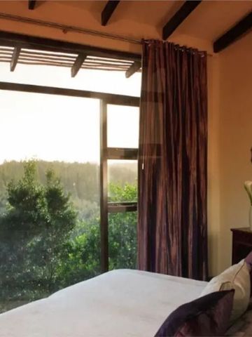 Wunderschönes Schlafzimmer mit weiten Fenstern und Landschaftsblick im Tsala Treetop Lodge