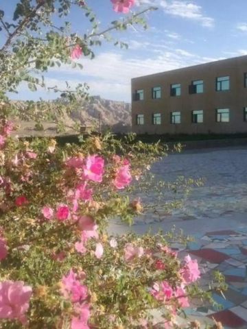 Rosa Blüten vor einem modernen Gebäude mit Bergblick