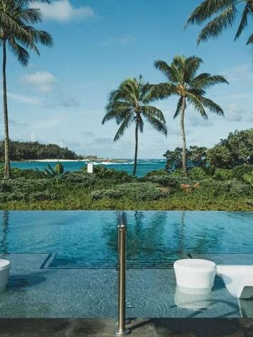 Infinity Pool mit Palmen und Meerblick am Ritz-Carlton O‘ahu