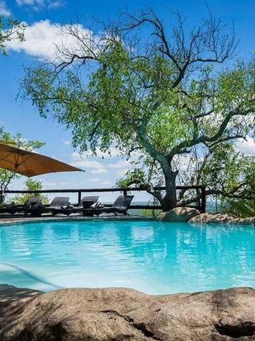 Pool mit Liegestühlen und Bäumen im Hintergrund unter blauem Himmel