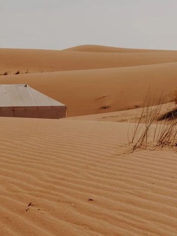 Sanddünen mit einsamer Struktur eingebettet in die Wüste