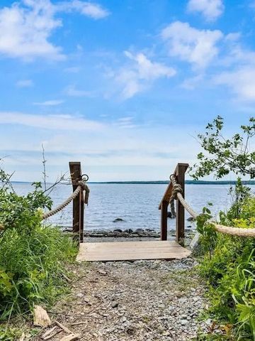 Steg zum Wasser mit umgebendem grünen Strauchwerk und blauem Himmel