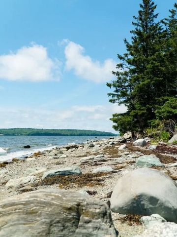 Steiniger Strand mit Bäumen im Hintergrund an einem sonnigen Tag