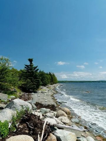 Küstenaussicht mit Steinen und Bäumen unter klarem Himmel