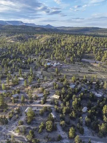 Luftaufnahme der Landschaft von Bryce Canyon mit Bäumen und Zelten