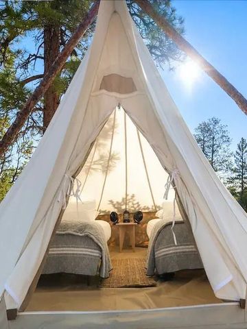 Zelt mit zwei Betten umgeben von Bäumen und sonnigem Himmel