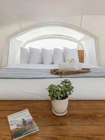 Gemütliches Schlafzimmer in einem Zelt mit Kingsize-Bett und Pflanzen