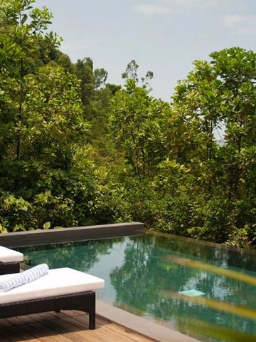 Privater Pool mit Liegen, umgeben von üppigem Grün