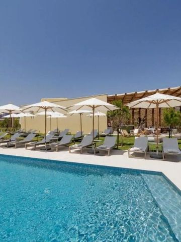 Großer Pool mit Sonnenliegen und Sonnenschirmen unter klarem Himmel