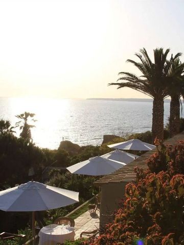 Terrasse mit Blick auf das Meer bei Sonnenuntergang und Palmen im Garten