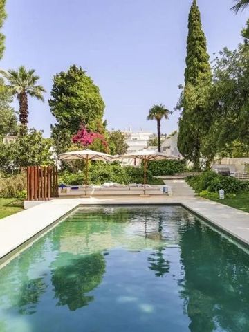 Länglicher Pool umgeben von grünen Bäumen und Liegestühlen