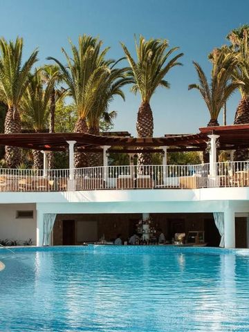 Großer Außenpool umgeben von Palmen und Terrasse mit Sitzmöglichkeiten