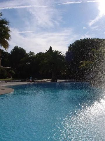 Großer Außenpool mit sprudelndem Wasserstrahl und umgeben von Palmen