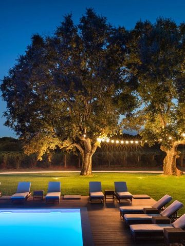 Poolbereich bei Nacht mit Liegestühlen und beleuchteten Bäumen