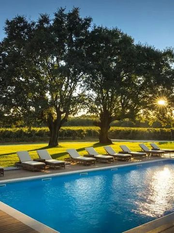 Swimmingpool bei Sonnenuntergang mit Liegestühlen und Bäumen