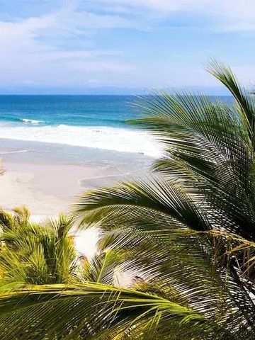 Blick auf das Meer durch üppige Palmenblätter