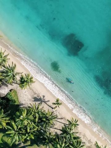 Tropischer Strand mit Palmen und klarem türkisfarbenem Wasser aus der Vogelperspektive.
