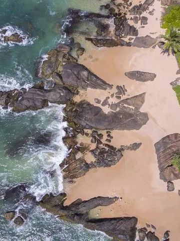 Luftaufnahme eines exotischen Strandes mit Felsen und Palmen am Rande des Wassers