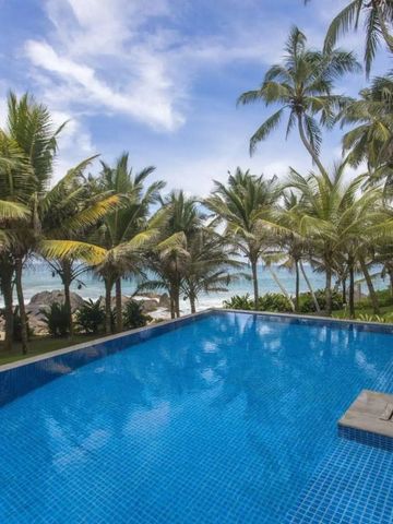 Infinity Pool umgeben von Palmen mit Blick auf das Meer