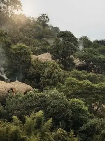 Dachkonstruktionen in einem üppigen Wald von Bisate Lodge