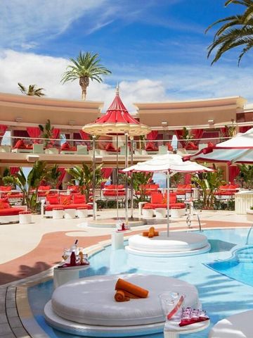 Luxuriöser Poolbereich mit Sonnenschirmen und bequemen Liegen umgeben von Palmen.