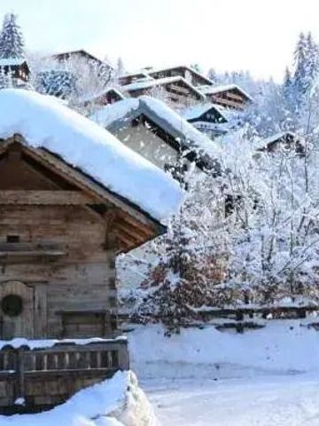 Verschneite Hüttenlandschaft mit Bäumen und Bergsicht