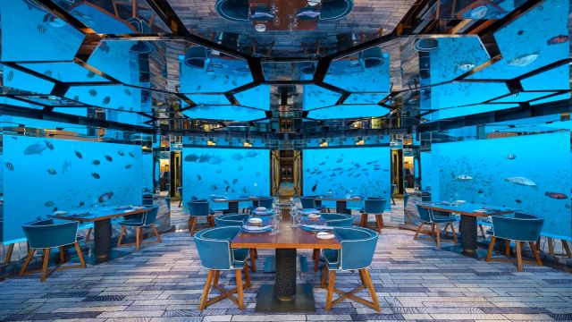 Unterwasserrestaurant SEA im Anantara Kihavah Maldives Villas mit eleganten Tischen, blauen Stühlen und Panoramafenstern mit Blick auf tropische Meeresfische.