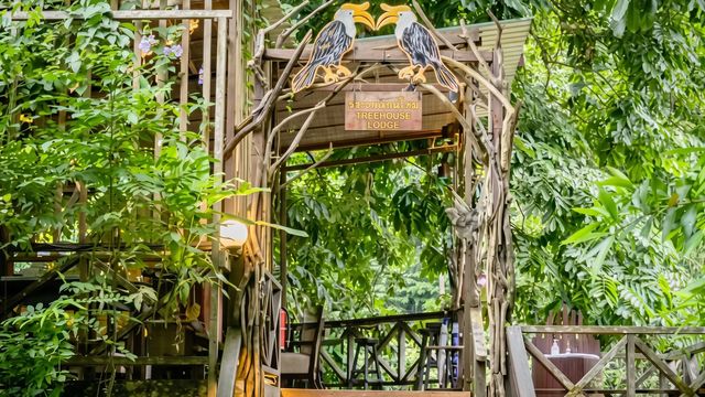 Holzportal mit geschnitzten Nashornvögeln am Eingang der Lodge im Regenwald.