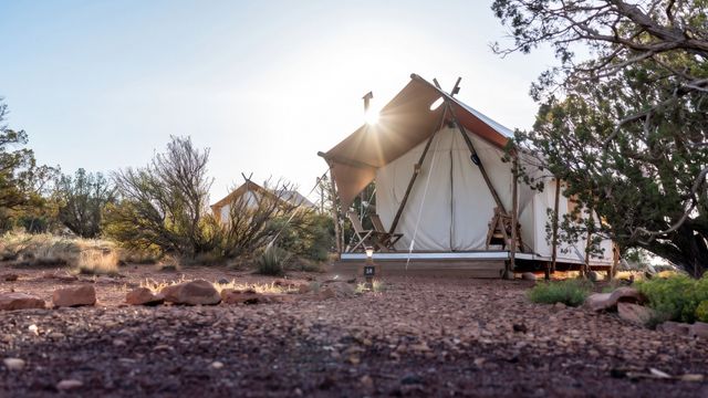 Ein weißes Glamping-Zelt auf einer Holzplattform in sonniger Wüstenlandschaft mit Büschen.