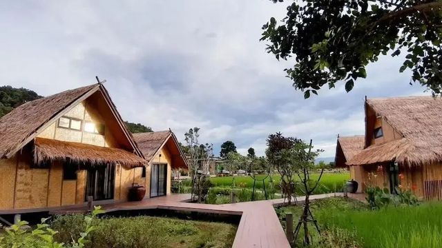 Holzbungalows mit Reetdächern und einem Holzsteg inmitten von grünen Feldern.