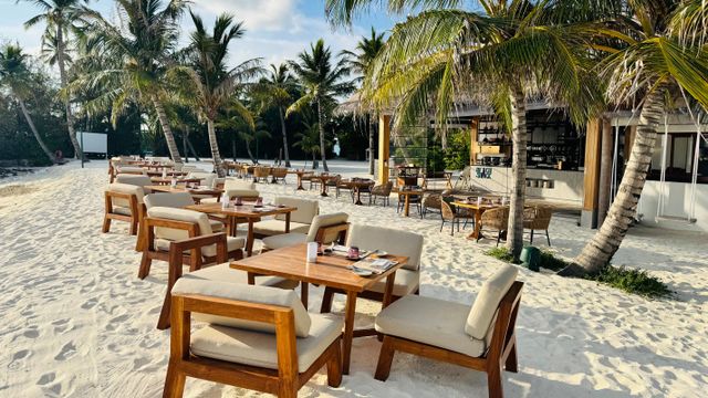 Strandrestaurant mit Holzmöbeln unter Palmen auf weißem Sand vor blauem Himmel