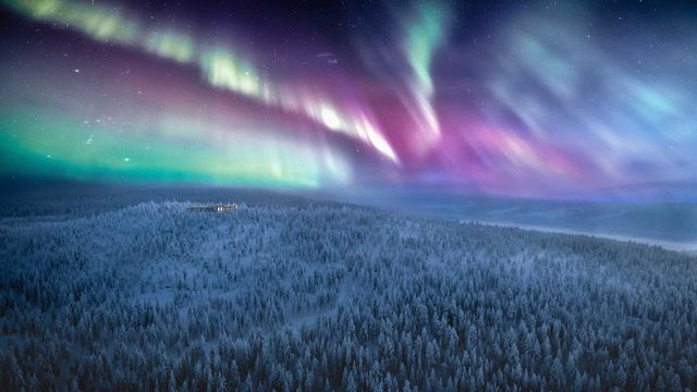 Grüne und violette Nordlichter über verschneitem Wald in der privaten Wildnis von Octola bei Rovaniemi