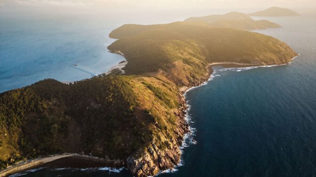 Luftaufnahme der Orpheus-Insel mit üppiger Vegetation