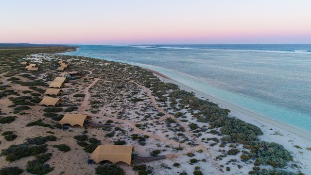 Luftbild der Zeltreihe von Sal Salis in den Dünen hinter dem Strand am türkisfarbenen Ningaloo Reef