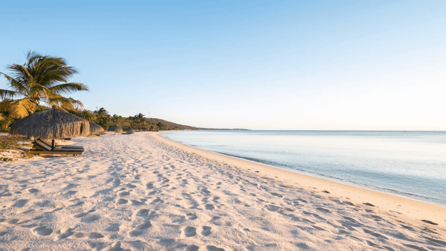 Der wunderschöne Strandabschnitt des Anantara Bazaruto Island Resort mit Natursteinmauern, tropischen Palmen, einem Holzsteg und einem Blick aufs Meer im Hintergrund, eingerahmt von gepflegtem Garten.