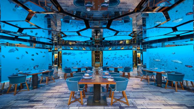 Unterwasserrestaurant SEA im Anantara Kihavah Maldives Villas mit eleganten Tischen, blauen Stühlen und Panoramafenstern mit Blick auf tropische Meeresfische.