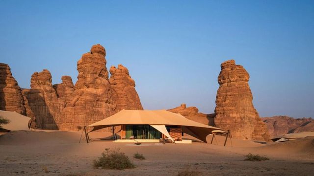 Banyan tree alula