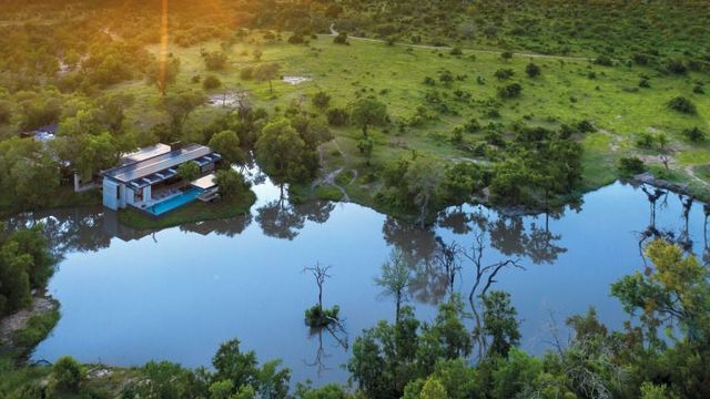 Cheetah Plains Unterkunft mit See und grüner Landschaft