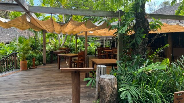 Tropische Lounge mit Bäumen und Überdachung