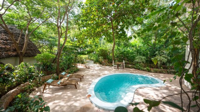 Xanadu Villas Pool und vielen Bäumen